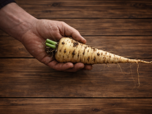 Parsnip