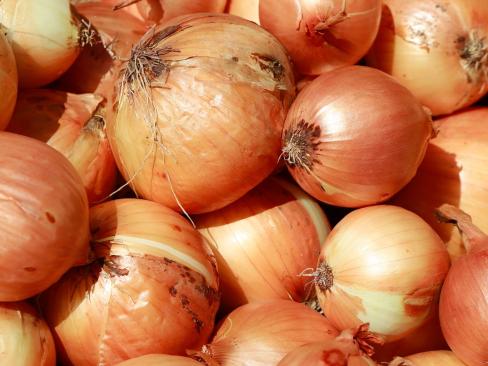 Onion Yellow..