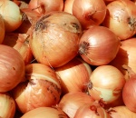 Onion Yellow..