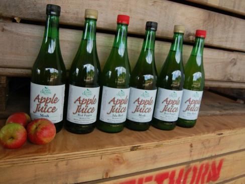 Apple Juice Red Pippin