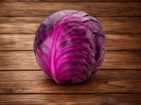 Cabbage Red N.L