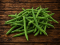 Beans Green Sp.