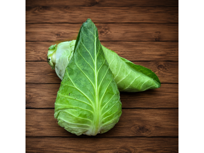 Cabbage Pointed U.K.