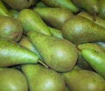 Pear Conference