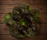 Lettuce Cos Red