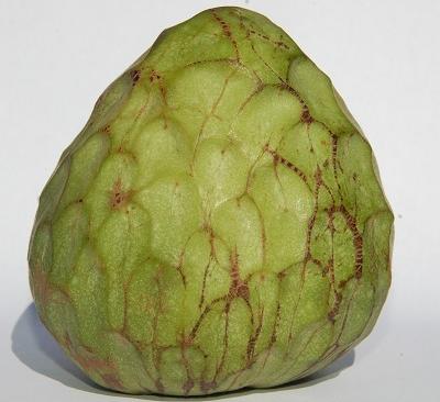 Cherimoyas (Custard Apple)
