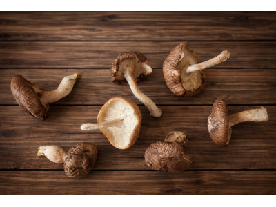 Mushroom Shitake