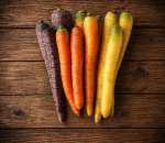 Carrot Rainbow Dirty