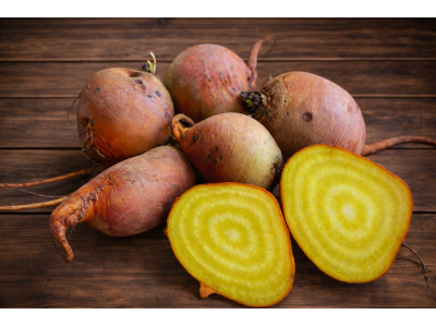 Beetroot Golden Globe