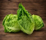 Lettuce Little Gem 2 pack