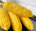 Sweetcorn