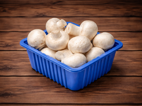 Mushroom CW 8 x 200g