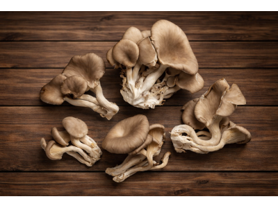 Mushroom Oyster