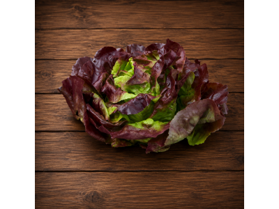 Lettuce Butterhead Red U.K.
