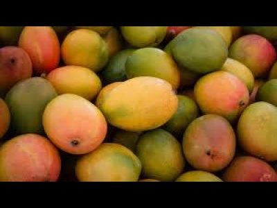 Mango
