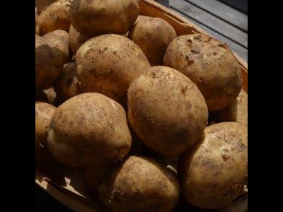 Potato Gatsby