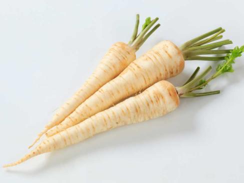Parsley Root