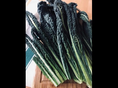 Kale Cavalonero