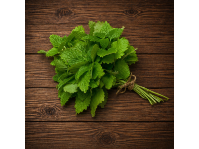 Herb Lemon Balm U.K.