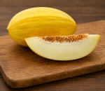 Melon Canary Sp.