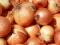 Onion Yellow..