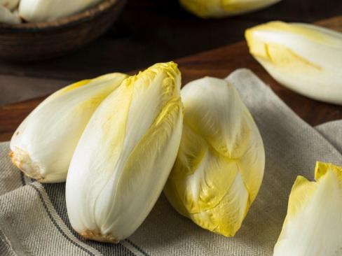 Chicory