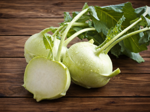 Kohl Rabi Sp.