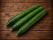 Cucumber Long
