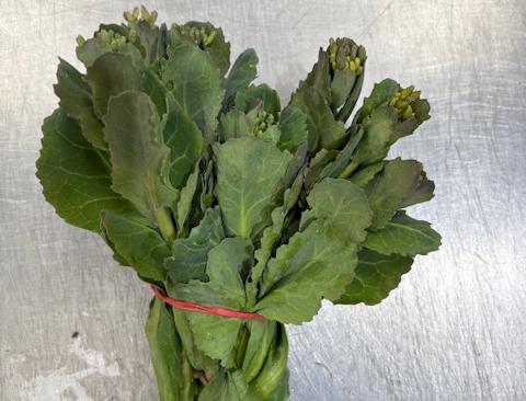 Cabbage Sprouts U.K.