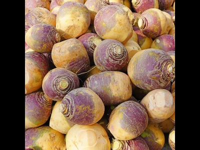 Swede.