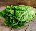 Lettuce Cos