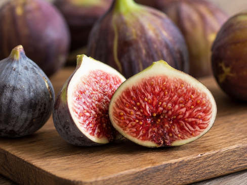 Fig Sp.