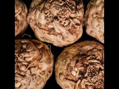 Celeriac.