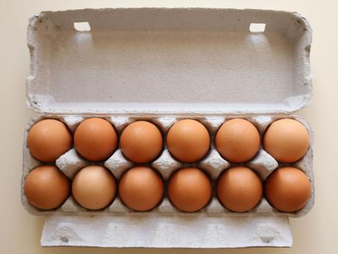 Organic Eggs