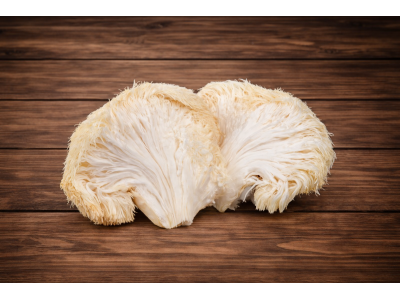 Mushroom Lions Mane