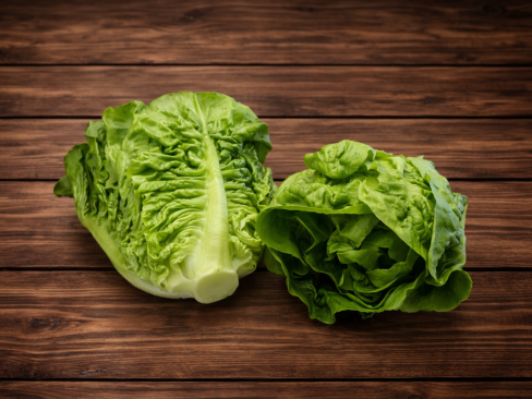 Lettuce Cos Mini 10 x 2