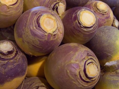 Swede