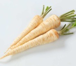 Parsley Root