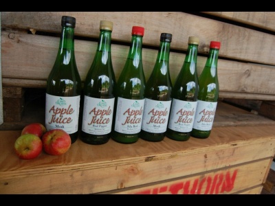 Apple Juice Discovery