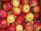 Apple Evita U.K.