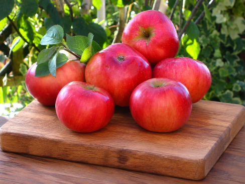 Apple Discovery
