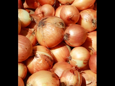 Onion Yellow..