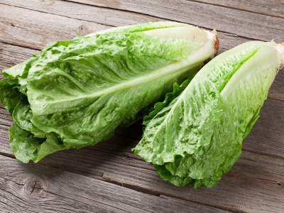 Lettuce Mini Romaine
