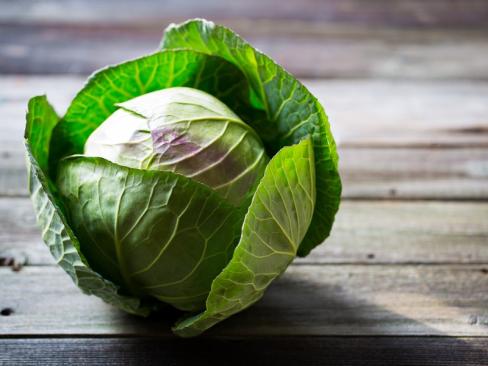 Cabbage January King