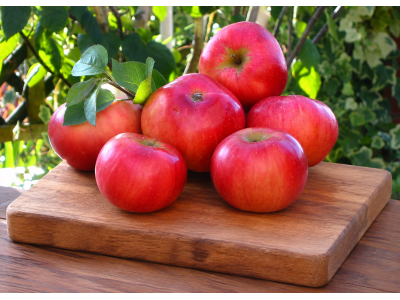 Apple Discovery