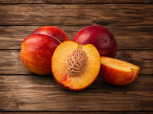 Nectarine Yellow Sp.