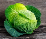 Cabbage Savoy.