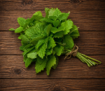 Herb Lemon Balm U.K.