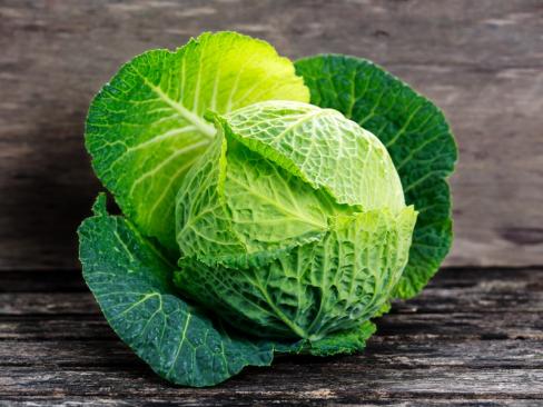 Cabbage Savoy.