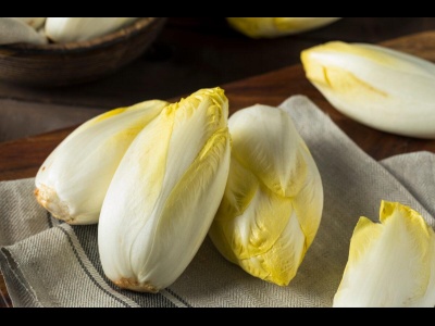 Chicory